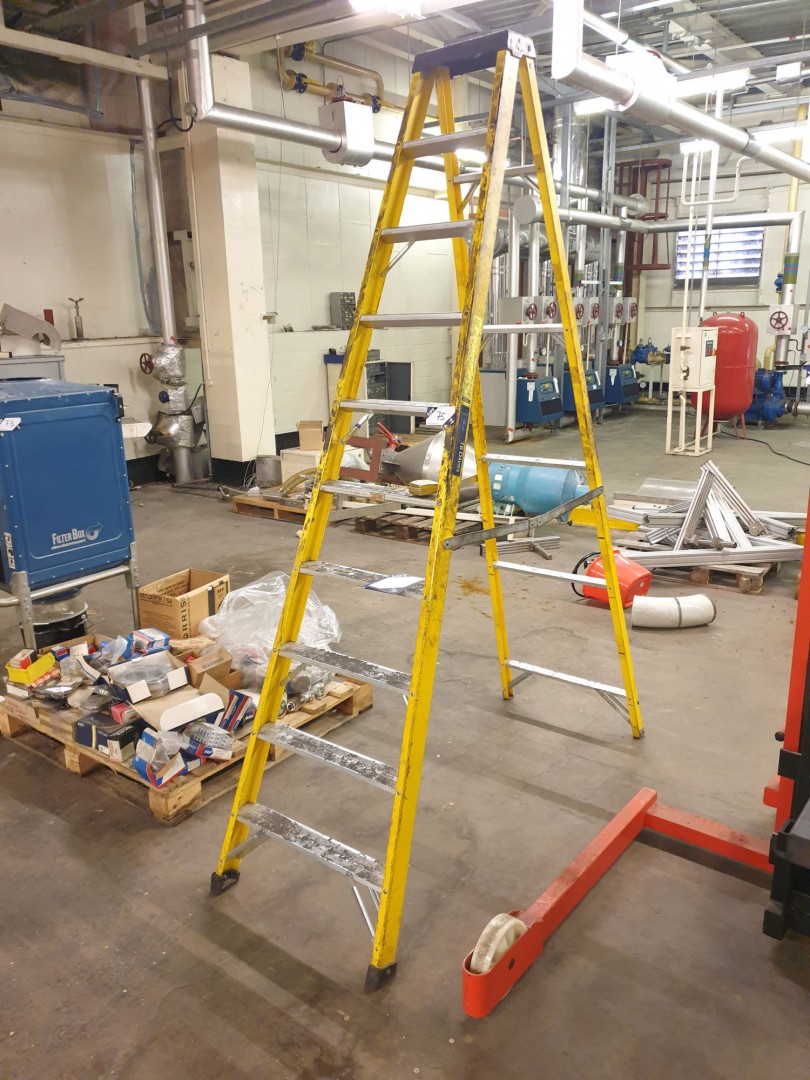 FSS-10 fibre glass 10 step safety steps