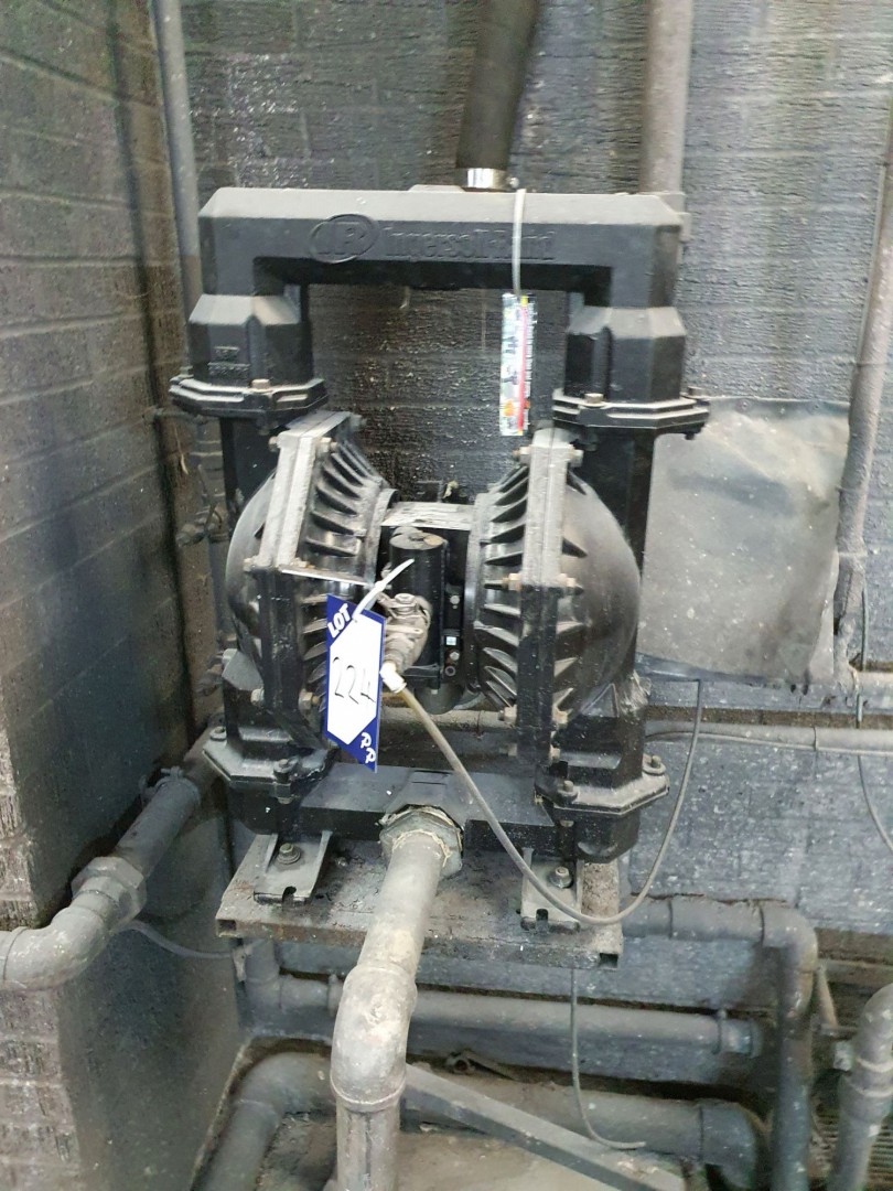 Ingersoll Rand PD30A-BAA diaphragm pump