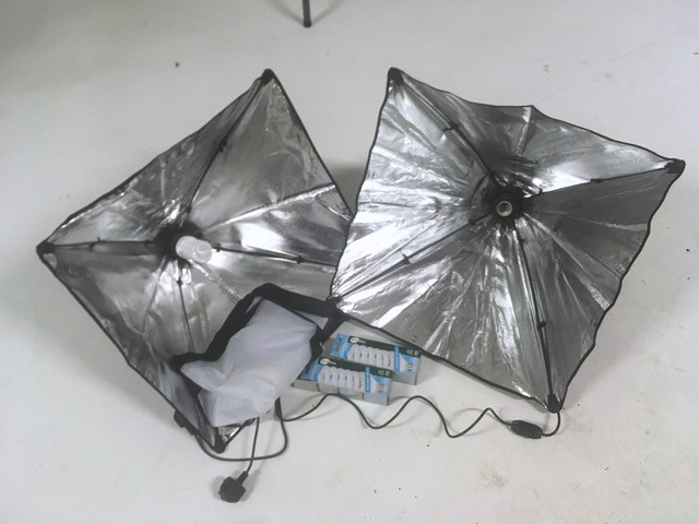 2x 500mm soft boxes with daylight 300W L...
